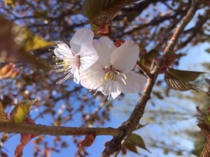 03.22写真